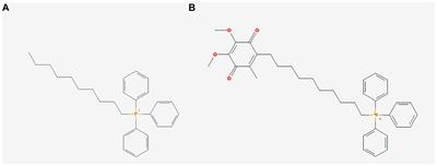 The Antioxidant Moiety of MitoQ Imparts Minimal Metabolic Effects in Adipose Tissue of High Fat Fed Mice